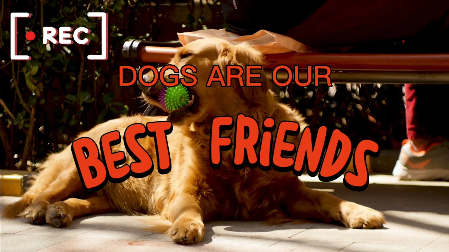 Монтаж клипа в CapCut